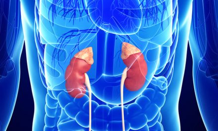 Q&A:  What Is Adrenal Fatigue & What Do You Need To Know About It?