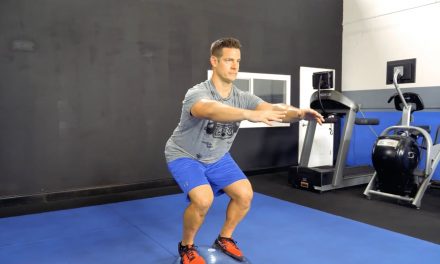 Bosu Ball Routine with Chris Wilson