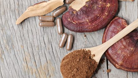 The Truth About Red Reishi