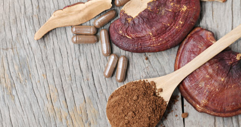 The Truth About Red Reishi